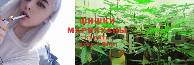 МАРИХУАНА Ganja  закладка  Волосово 